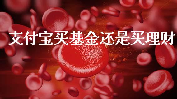 支付宝买基金还是买理财_https://www.apanben.com_国际财经_第1张