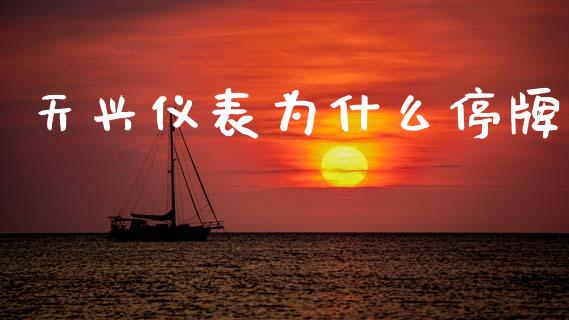 天兴仪表为什么停牌_https://www.apanben.com_国际财经_第1张