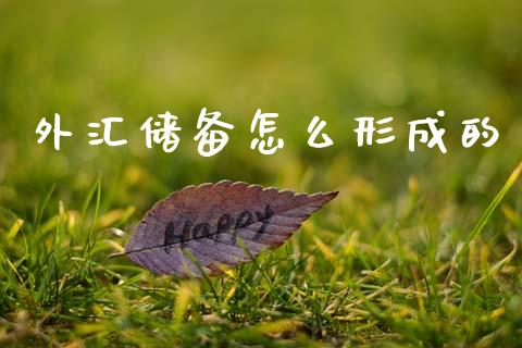 外汇储备怎么形成的_https://www.apanben.com_在线喊单_第1张