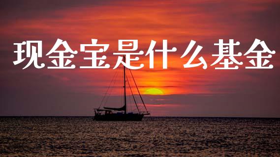 现金宝是什么基金_https://www.apanben.com_国际期货_第1张