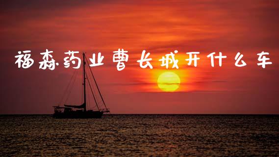 福森药业曹长城开什么车_https://www.apanben.com_股市指导_第1张