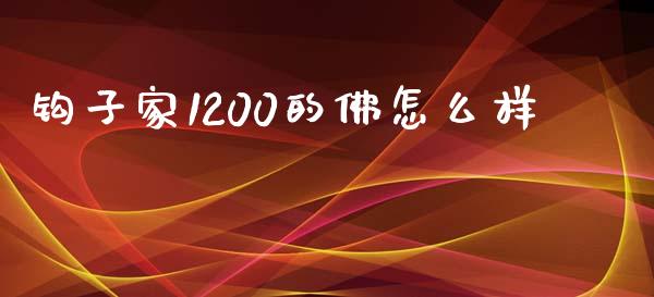 钩子家1200的佛怎么样_https://www.apanben.com_国际财经_第1张