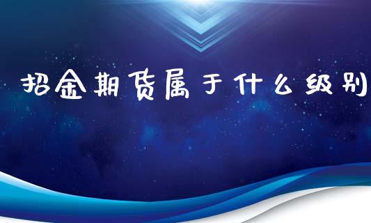 招金期货属于什么级别_https://www.apanben.com_国际财经_第1张