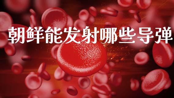 朝鲜能发射哪些导弹_https://www.apanben.com_国际期货_第1张