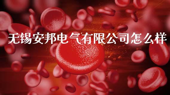 无锡安邦电气有限公司怎么样_https://www.apanben.com_股票怎么玩_第1张