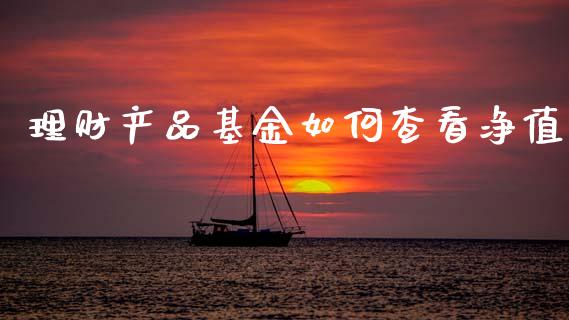 理财产品基金如何查看净值_https://www.apanben.com_财经资讯_第1张