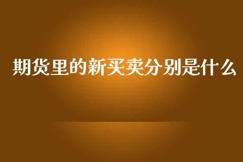 期货里的新买卖分别是什么_https://www.apanben.com_股市分析_第1张
