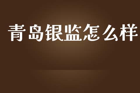 青岛银监怎么样_https://www.apanben.com_股票怎么玩_第1张