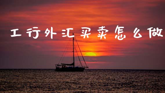 工行外汇买卖怎么做_https://www.apanben.com_国际财经_第1张