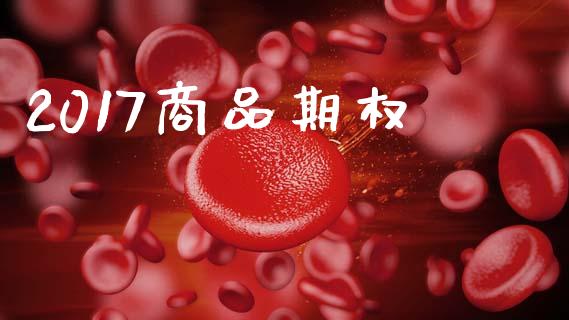 2017商品期权_https://www.apanben.com_股市指导_第1张