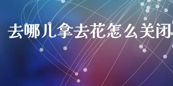 去哪儿拿去花怎么关闭_https://www.apanben.com_国际期货_第1张