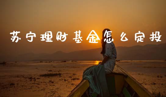 苏宁理财基金怎么定投_https://www.apanben.com_财经资讯_第1张