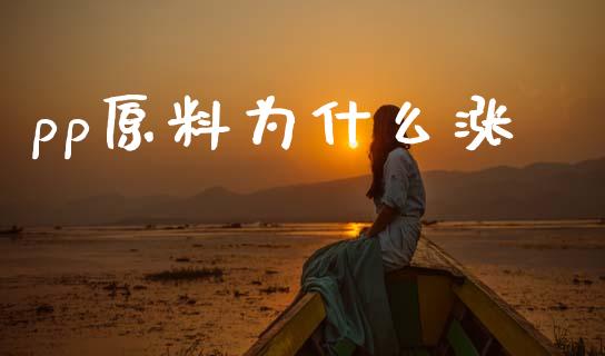 pp原料为什么涨_https://www.apanben.com_股市指导_第1张
