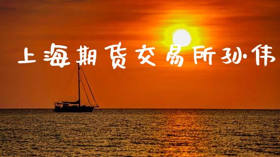 上海期货交易所孙伟_https://www.apanben.com_国际期货_第1张