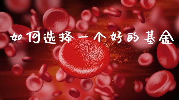 如何选择一个好的基金_https://www.apanben.com_期货学院_第1张
