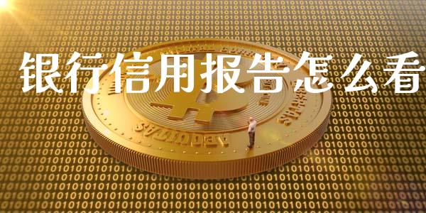 银行信用报告怎么看_https://www.apanben.com_期货学院_第1张