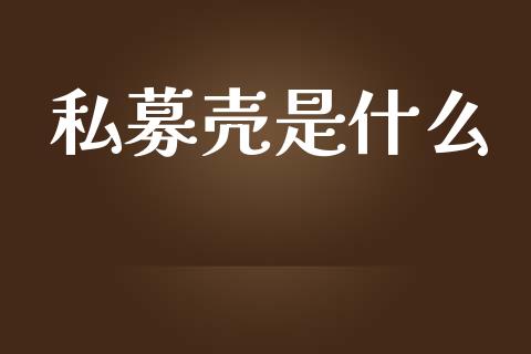 私募壳是什么_https://www.apanben.com_国际财经_第1张