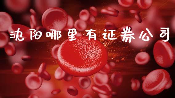 沈阳哪里有证券公司_https://www.apanben.com_股市指导_第1张