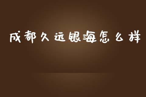 成都久远银海怎么样_https://www.apanben.com_财经资讯_第1张