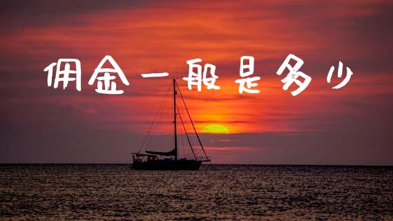 佣金一般是多少_https://www.apanben.com_股票怎么玩_第1张