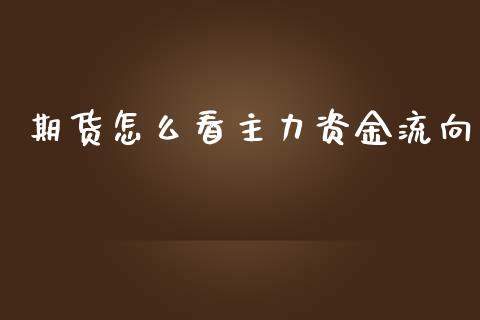 期货怎么看主力资金流向_https://www.apanben.com_国际期货_第1张