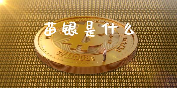苗银是什么_https://www.apanben.com_股市分析_第1张