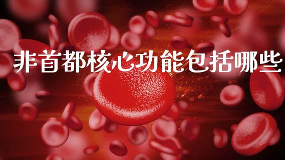 非首都核心功能包括哪些_https://www.apanben.com_在线喊单_第1张