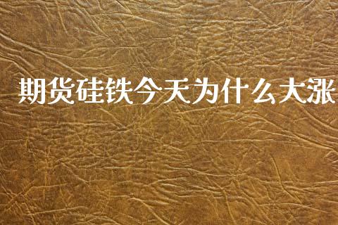 期货硅铁今天为什么大涨_期货学院_第1张_安贝财经网 期货硅铁今天为什么大涨_https://www.apanben.com_期货学院_第1张
