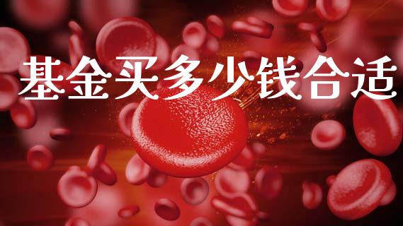 基金买多少钱合适_https://www.apanben.com_在线喊单_第1张