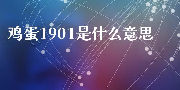 鸡蛋1901是什么意思_https://www.apanben.com_股票怎么玩_第1张