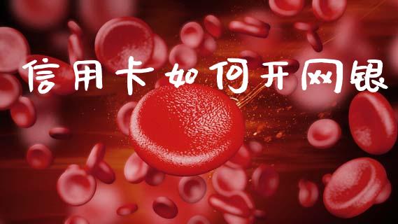 信用卡如何开网银_https://www.apanben.com_国际财经_第1张