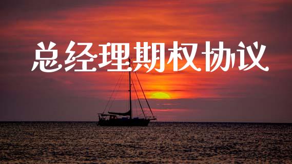 总经理期权协议_https://www.apanben.com_在线喊单_第1张