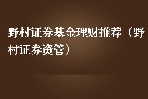 野村证券基金理财推荐（野村证券资管）_https://www.apanben.com_国际财经_第1张