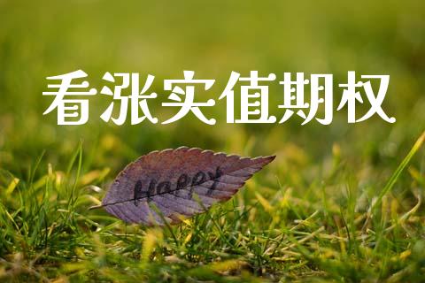 看涨实值期权_https://www.apanben.com_在线喊单_第1张