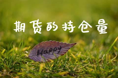 期货的持仓量_https://www.apanben.com_股市指导_第1张