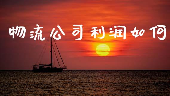 物流公司利润如何_https://www.apanben.com_国际财经_第1张