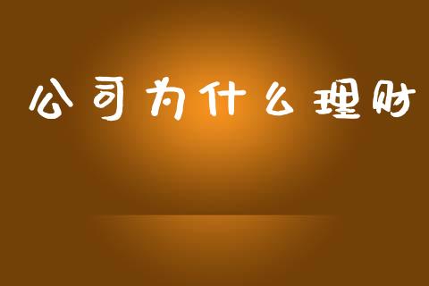 公司为什么理财_https://www.apanben.com_在线喊单_第1张