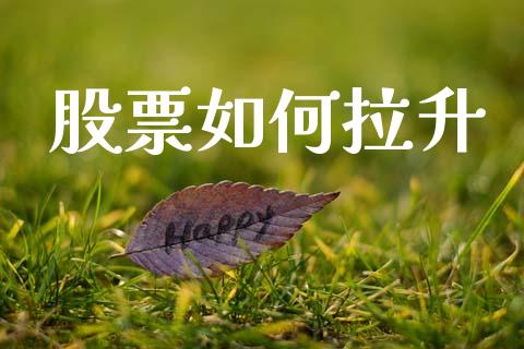 股票如何拉升_https://www.apanben.com_在线喊单_第1张