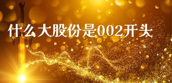 什么大股份是002开头_https://www.apanben.com_国际财经_第1张