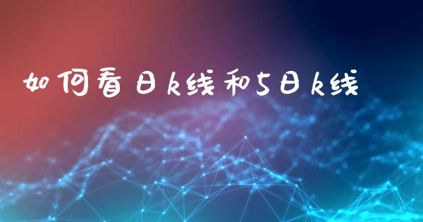 如何看日k线和5日k线_https://www.apanben.com_在线喊单_第1张