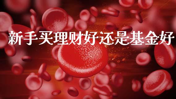 新手买理财好还是基金好_https://www.apanben.com_国际财经_第1张