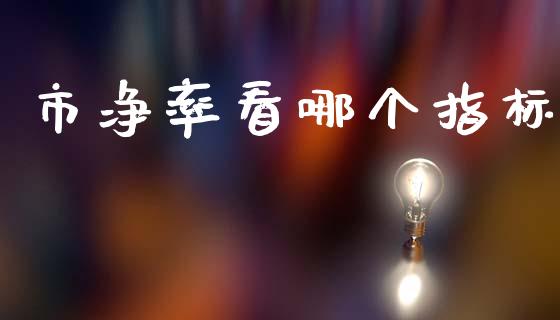 市净率看哪个指标_https://www.apanben.com_期货学院_第1张