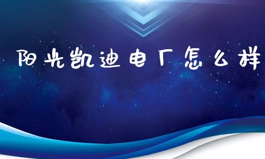 阳光凯迪电厂怎么样_https://www.apanben.com_股市分析_第1张