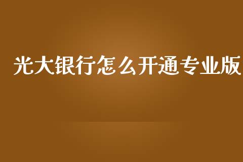 光大银行怎么开通专业版_https://www.apanben.com_国际财经_第1张