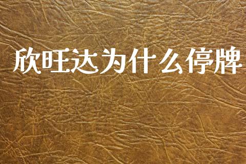 欣旺达为什么停牌_https://www.apanben.com_国际期货_第1张