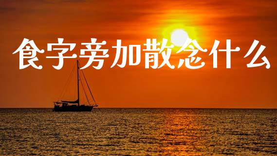 食字旁加散念什么_https://www.apanben.com_国际财经_第1张