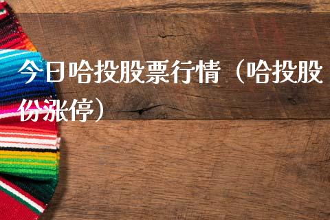 今日哈投股票行情（哈投股份涨停）_https://www.apanben.com_股票怎么玩_第1张