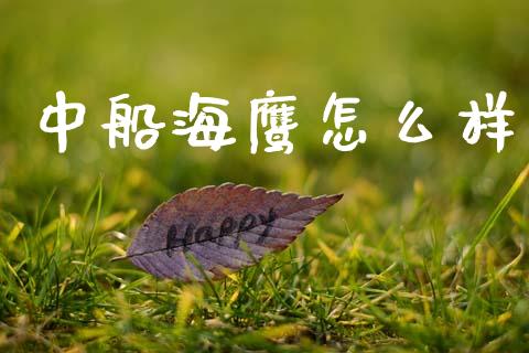 中船海鹰怎么样_https://www.apanben.com_股票怎么玩_第1张