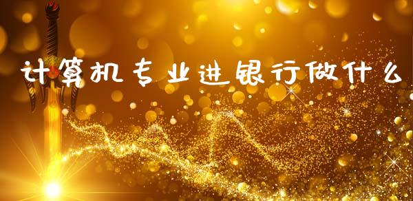 计算机专业进银行做什么_https://www.apanben.com_在线喊单_第1张