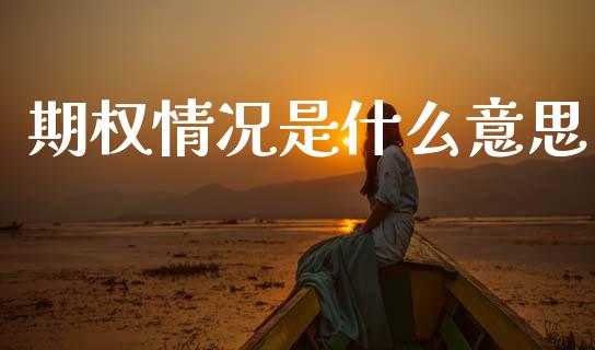 期权情况是什么意思_https://www.apanben.com_股市指导_第1张